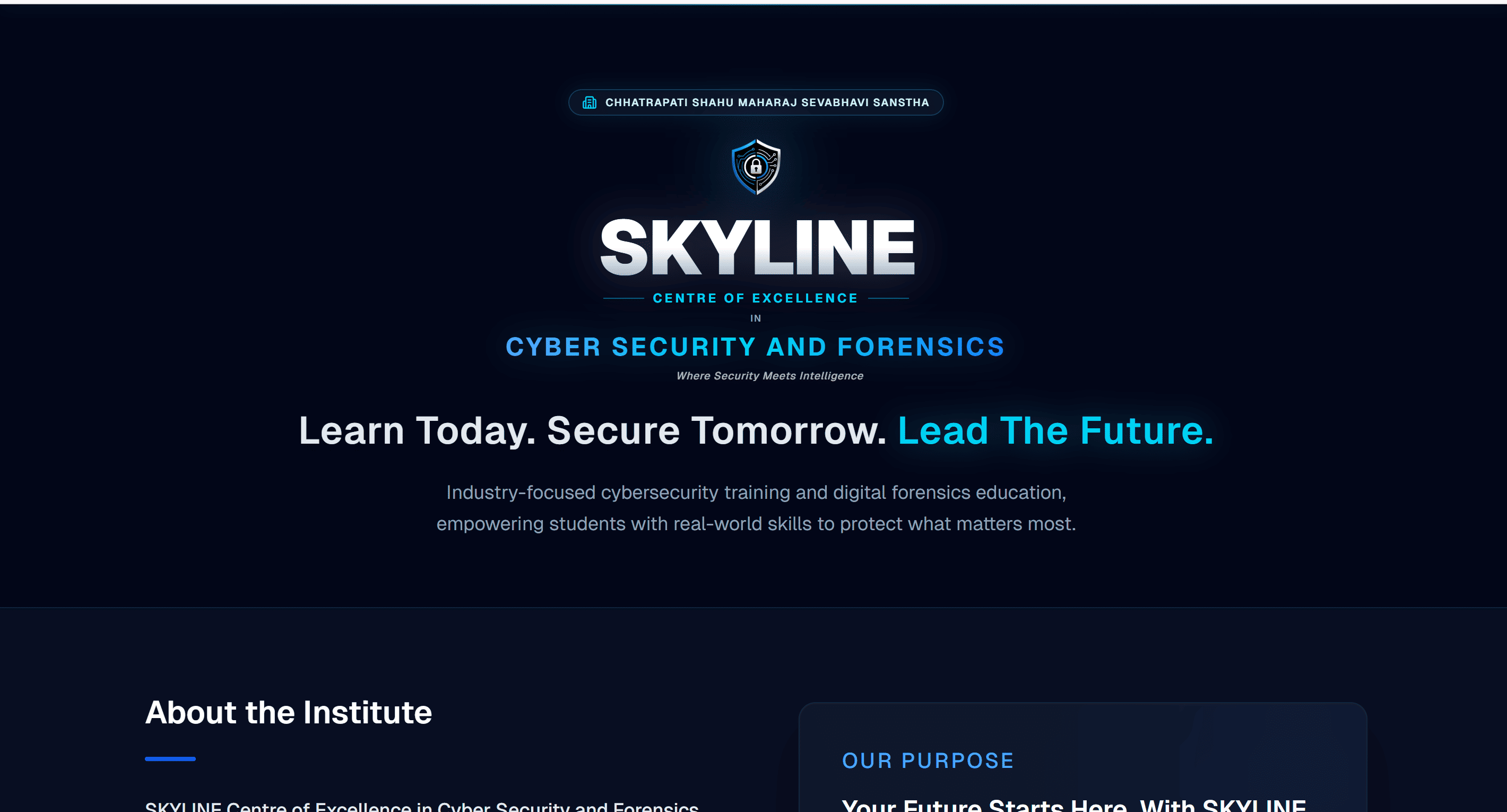 Sky Cyber Forensics